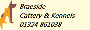 Braeside Cattery & Kennels